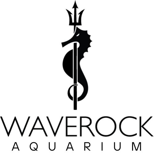 Waverock Aquarium